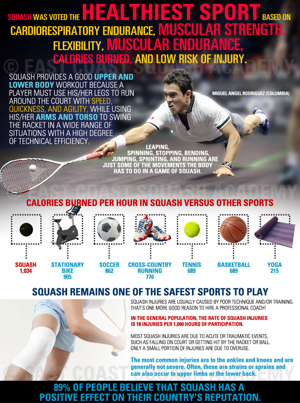 Squash Infographic Section Health 1 Orig 